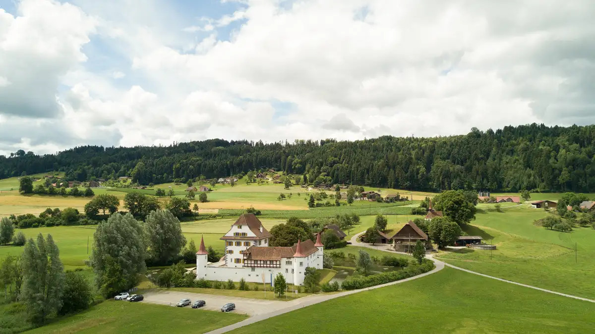 Wasserschloss Wyher in Ettiswil aus der Luft mit grüner Umgebung